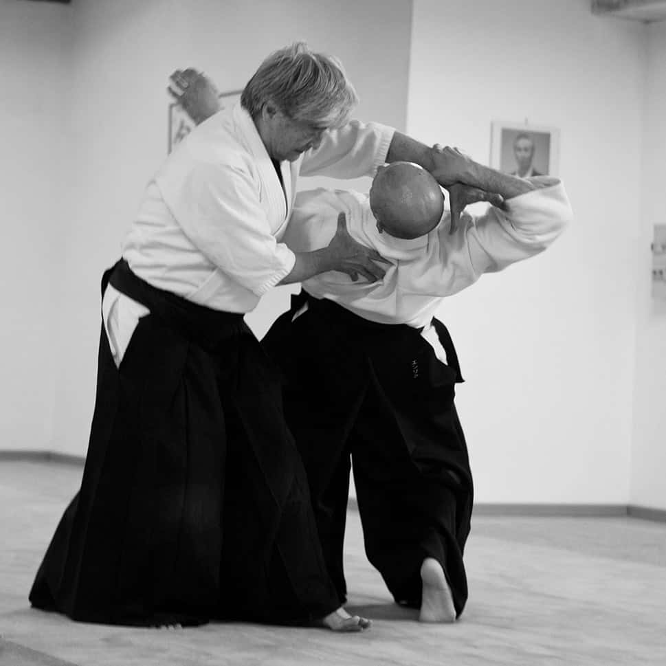 Stage-Aikido-Lyonnais-2011-06-2-Yamada-Sensei-113