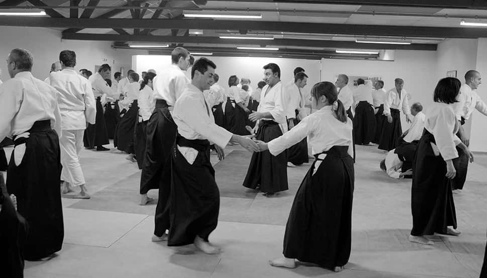 Stage-Aikido-Lyonnais-2011-06-2-Yamada-Sensei-12