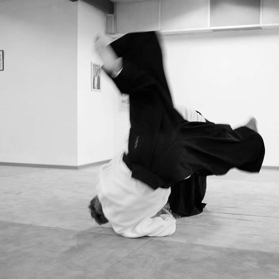 Stage-Aikido-Lyonnais-2011-06-2-Yamada-Sensei-124
