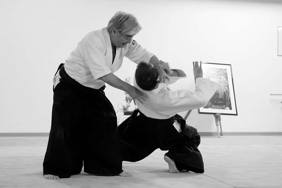 Stage-Aikido-Lyonnais-2011-06-2-Yamada-Sensei-18