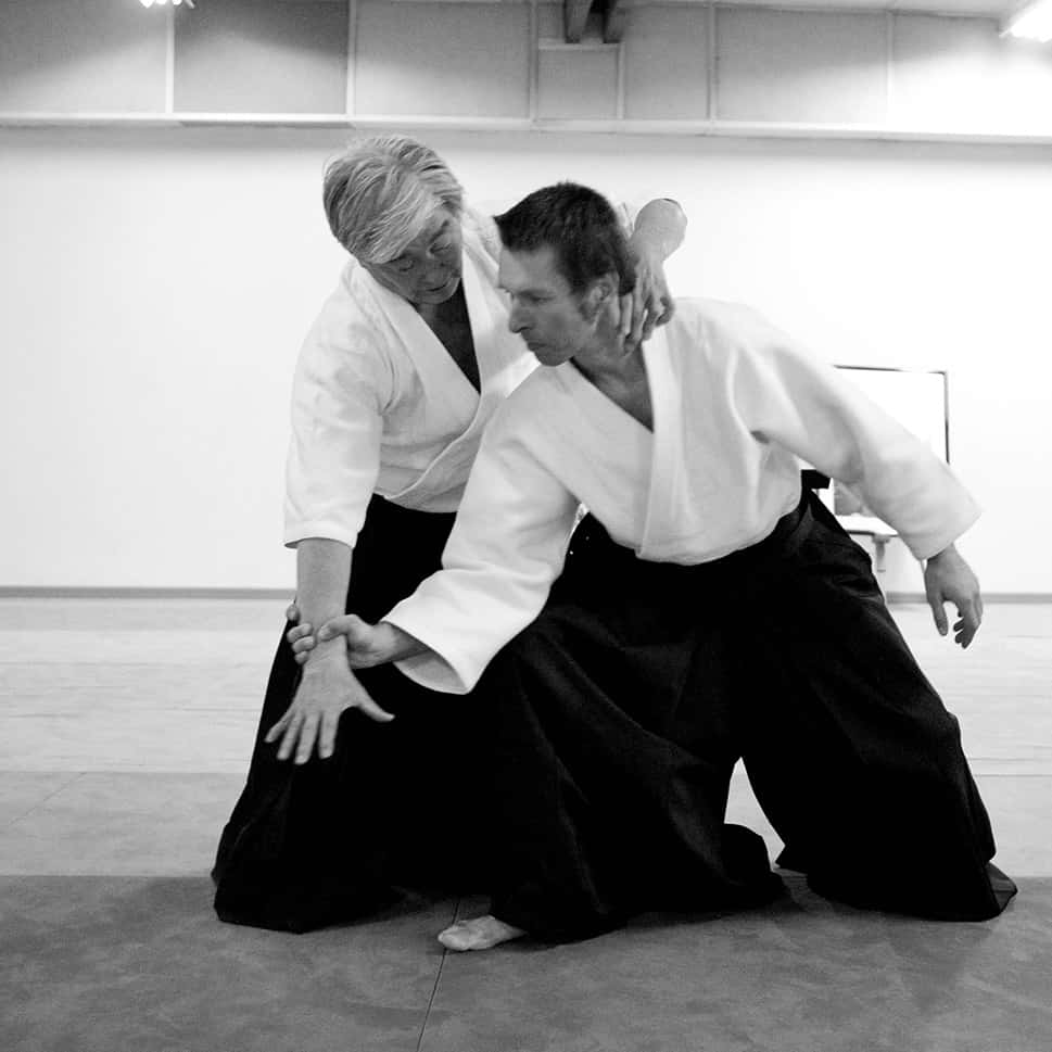 Stage-Aikido-Lyonnais-2011-06-2-Yamada-Sensei-21