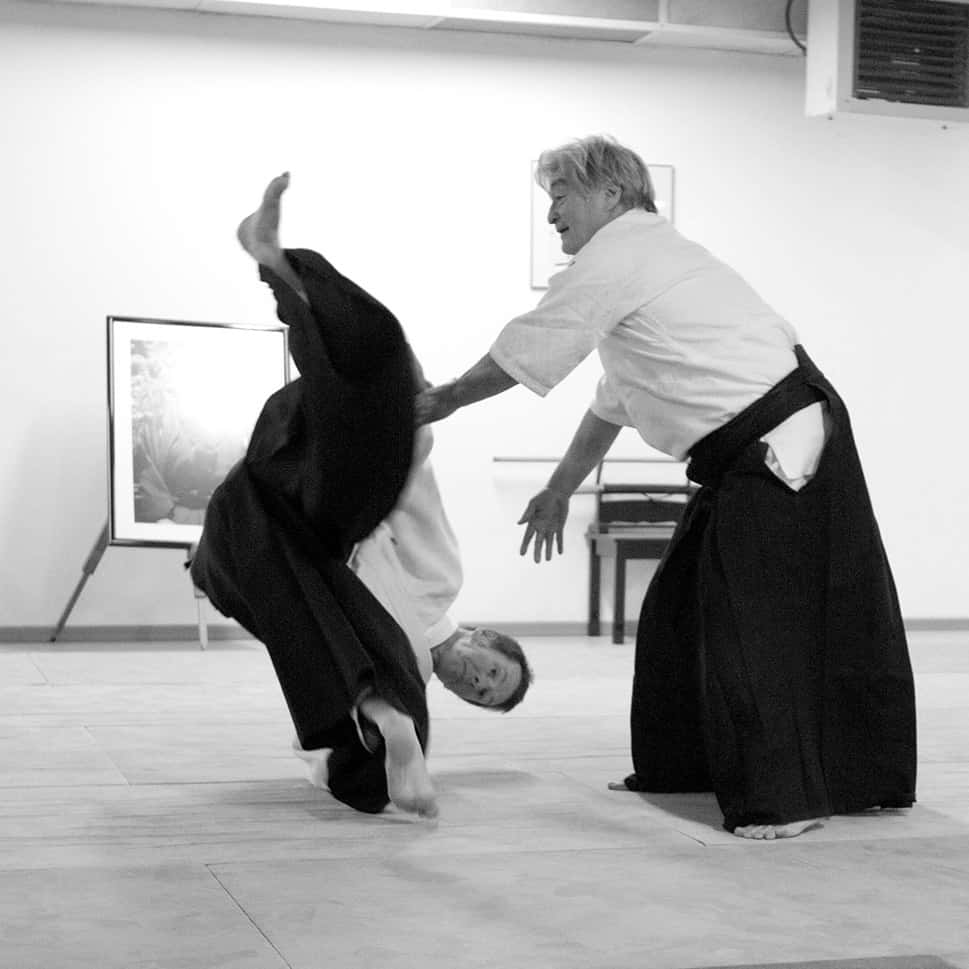 Stage-Aikido-Lyonnais-2011-06-2-Yamada-Sensei-26