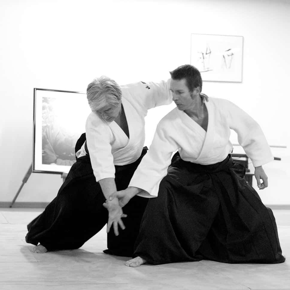 Stage-Aikido-Lyonnais-2011-06-2-Yamada-Sensei-31
