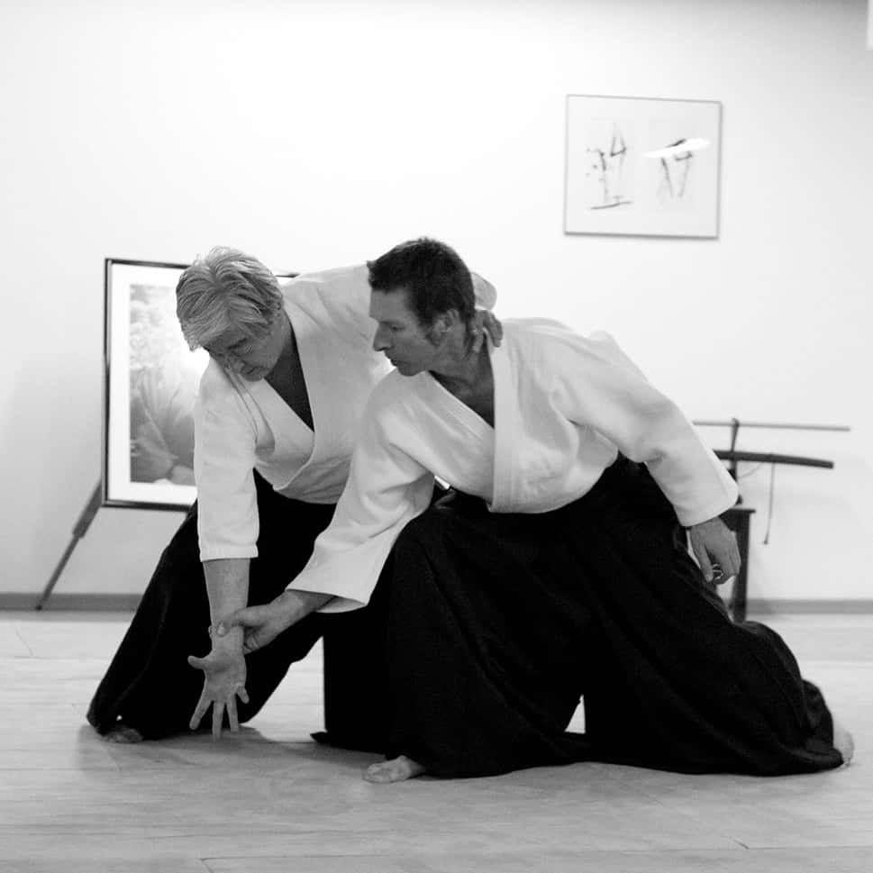Stage-Aikido-Lyonnais-2011-06-2-Yamada-Sensei-32