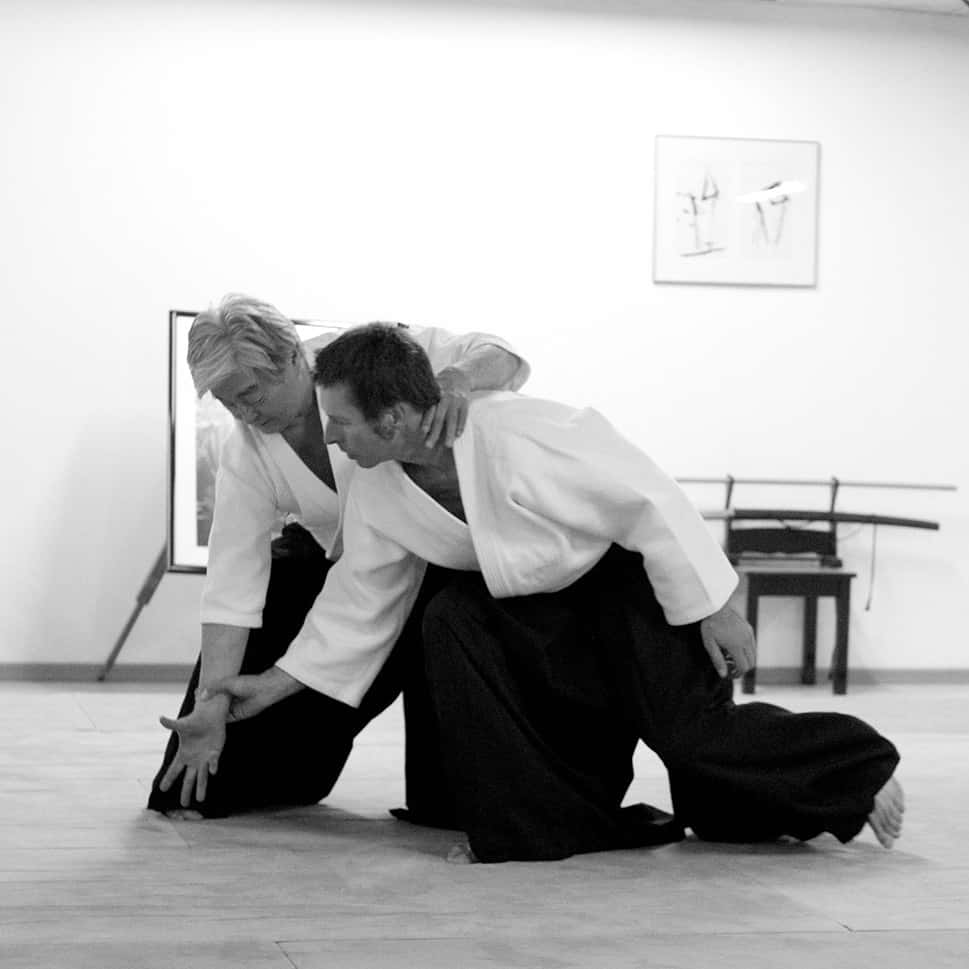 Stage-Aikido-Lyonnais-2011-06-2-Yamada-Sensei-33