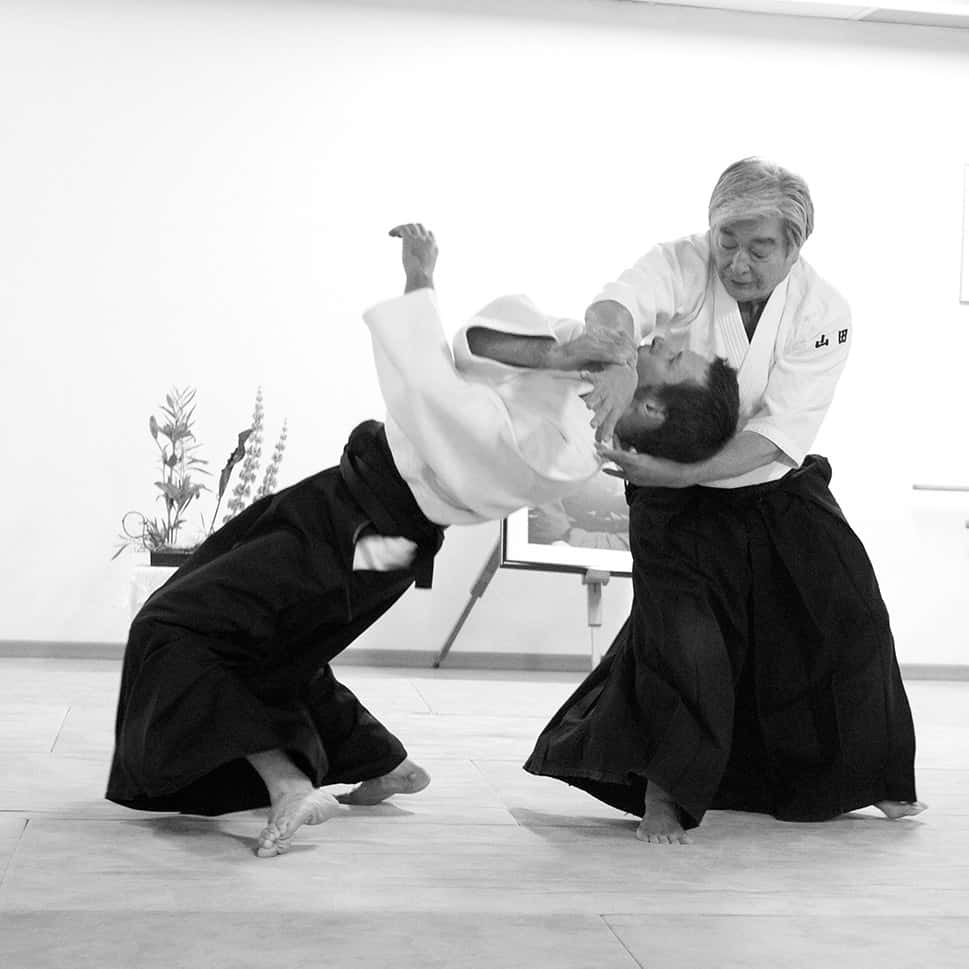 Stage-Aikido-Lyonnais-2011-06-2-Yamada-Sensei-34