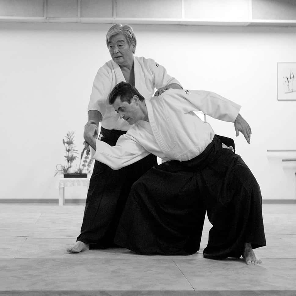 Stage-Aikido-Lyonnais-2011-06-2-Yamada-Sensei-38