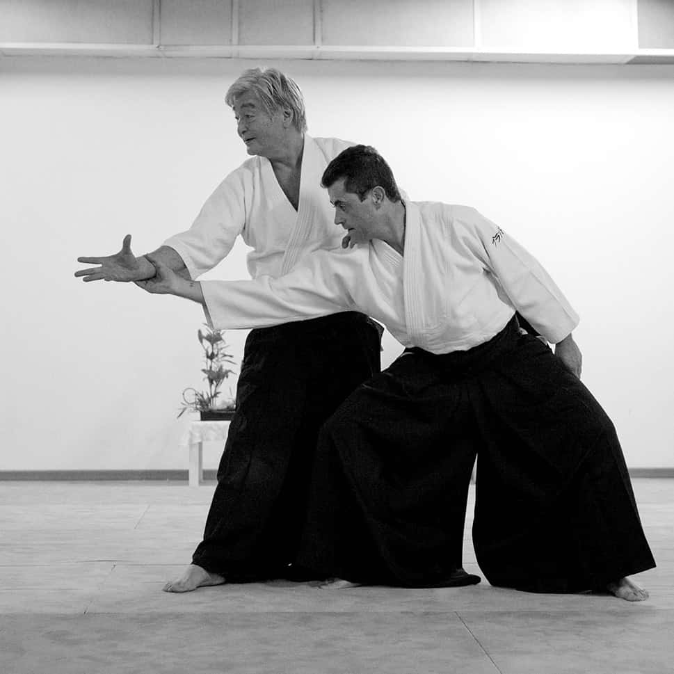 Stage-Aikido-Lyonnais-2011-06-2-Yamada-Sensei-39