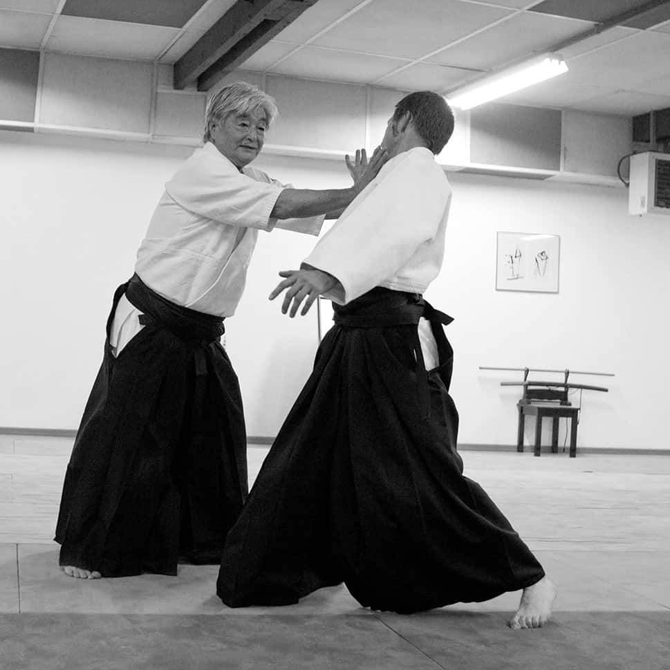 Stage-Aikido-Lyonnais-2011-06-2-Yamada-Sensei-42
