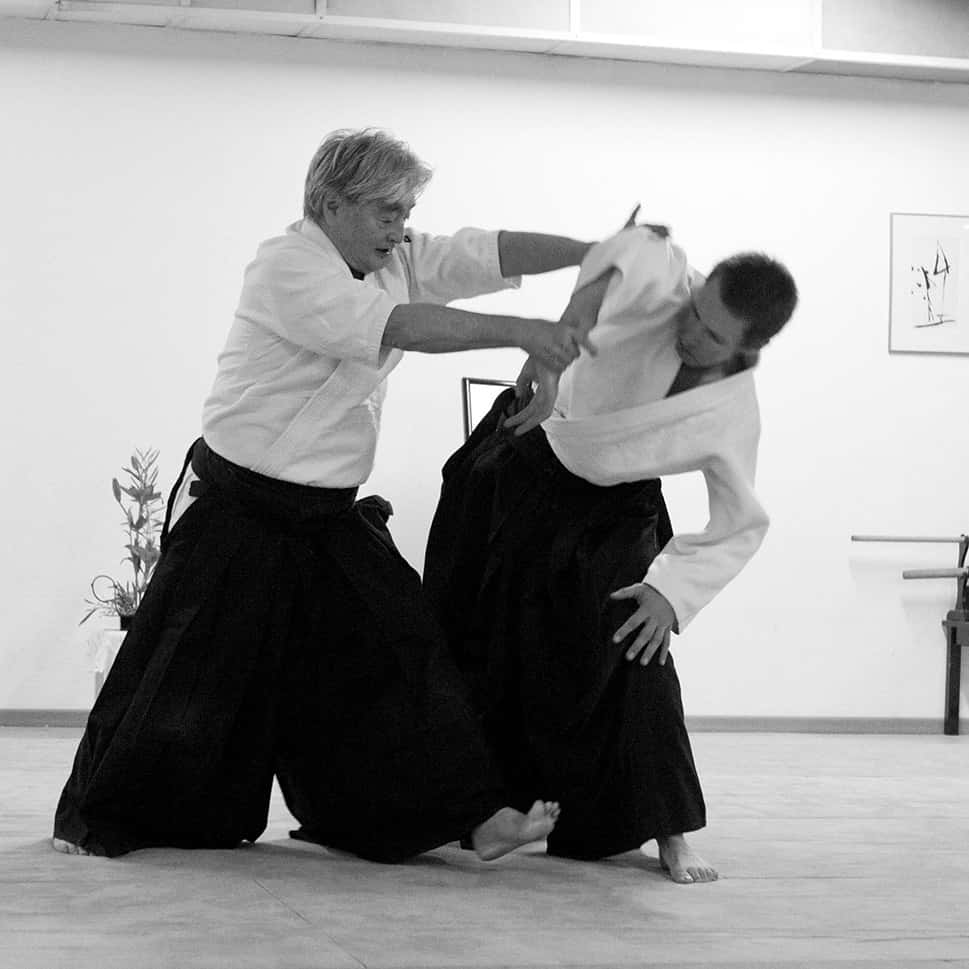 Stage-Aikido-Lyonnais-2011-06-2-Yamada-Sensei-43