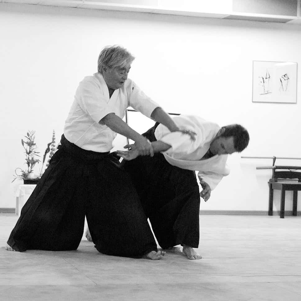 Stage-Aikido-Lyonnais-2011-06-2-Yamada-Sensei-44