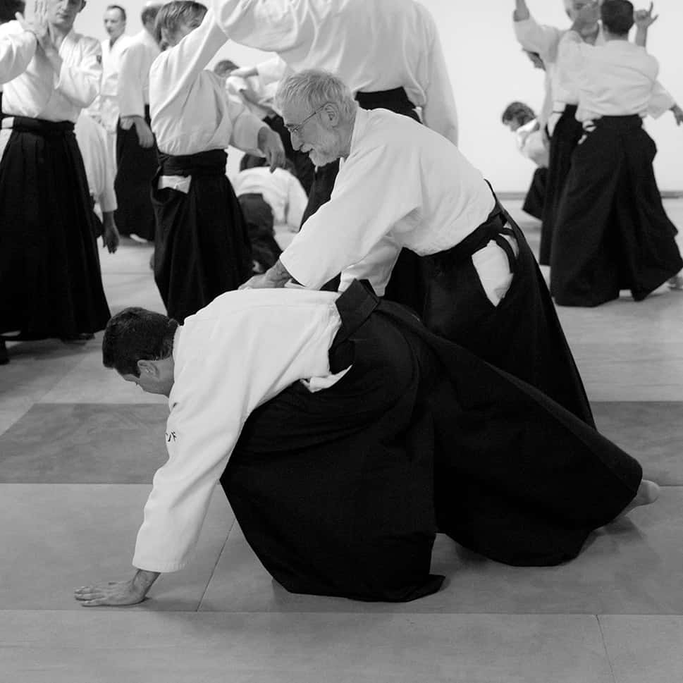 Stage-Aikido-Lyonnais-2011-06-2-Yamada-Sensei-48