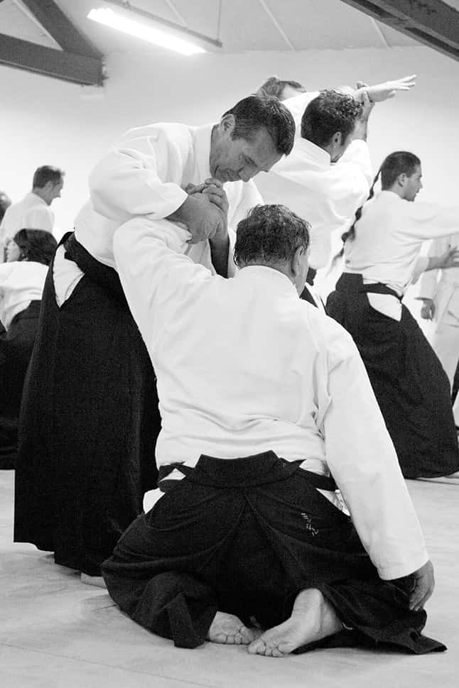 Stage-Aikido-Lyonnais-2011-06-2-Yamada-Sensei-53
