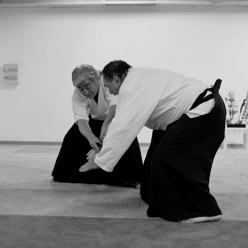 Stage-Aikido-Lyonnais-2011-06-2-Yamada-Sensei-57