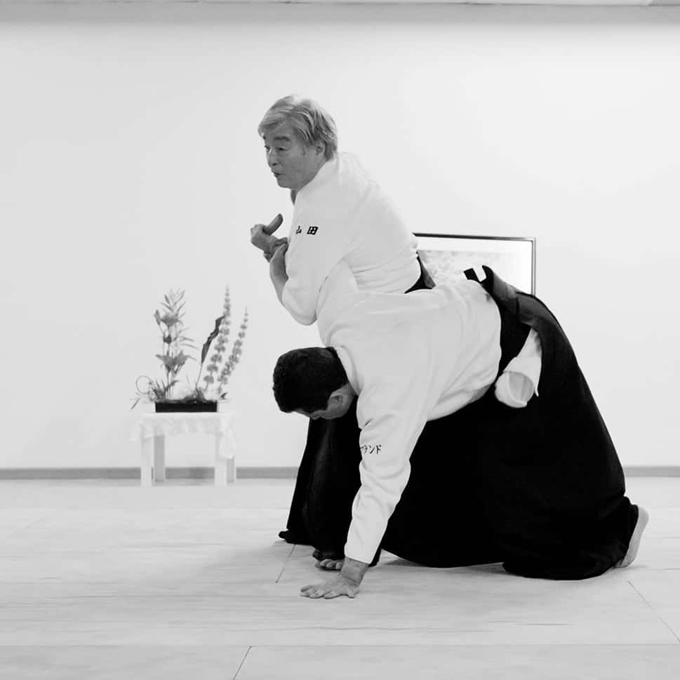 Stage-Aikido-Lyonnais-2011-06-2-Yamada-Sensei-63