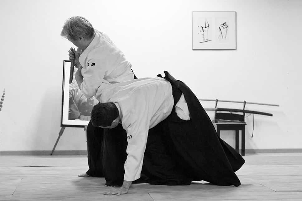 Stage-Aikido-Lyonnais-2011-06-2-Yamada-Sensei-67
