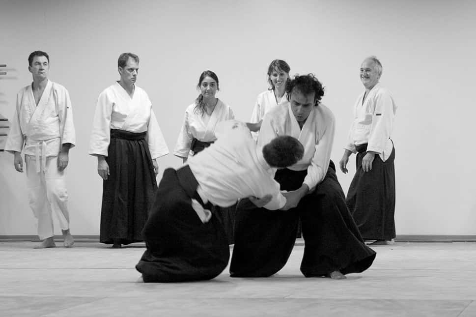 Stage-Aikido-Lyonnais-2011-06-2-Yamada-Sensei-93