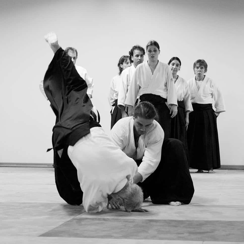 Stage-Aikido-Lyonnais-2011-06-2-Yamada-Sensei-96