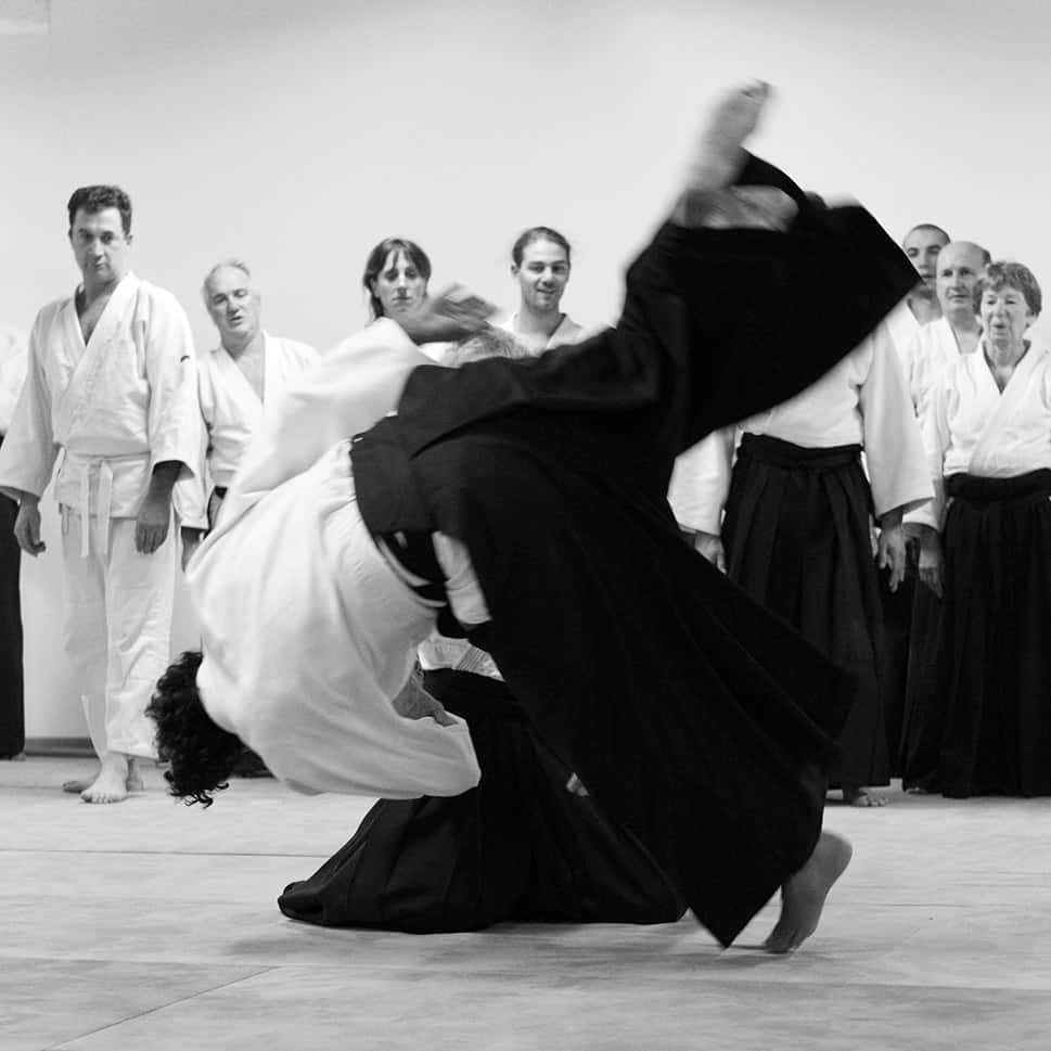 Stage-Aikido-Lyonnais-2011-06-2-Yamada-Sensei-99