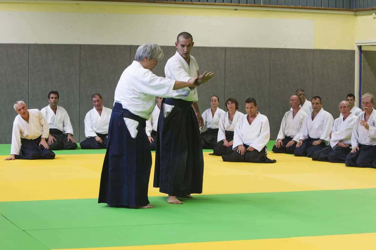 Stage-Aikido-Lyonnais-2012-01-Yamada-Sensei-11