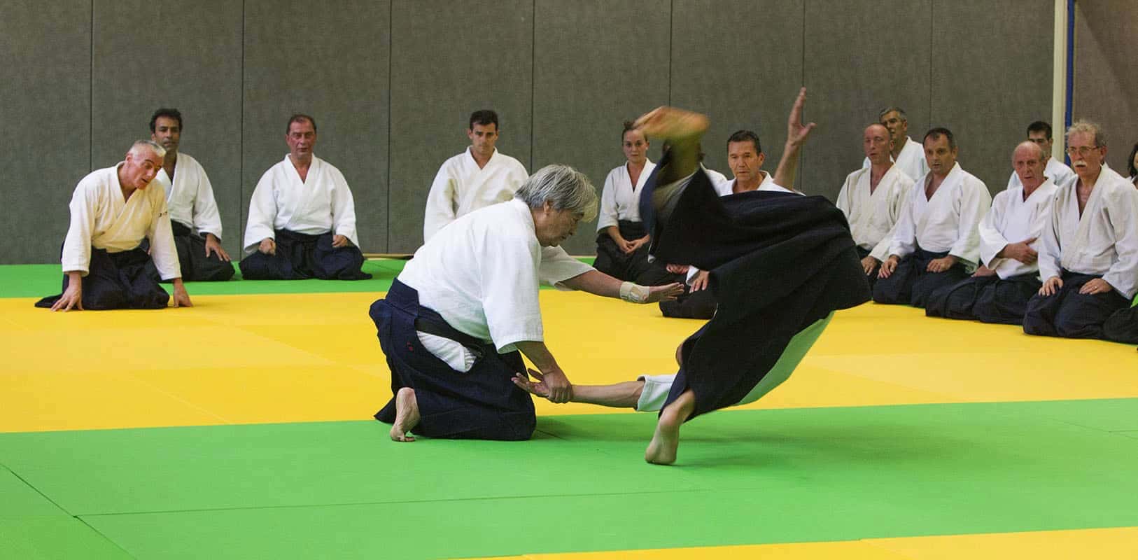 Stage-Aikido-Lyonnais-2012-01-Yamada-Sensei-12