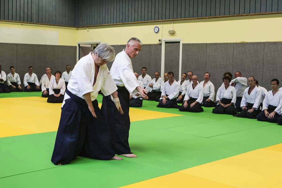 Stage-Aikido-Lyonnais-2012-01-Yamada-Sensei-15
