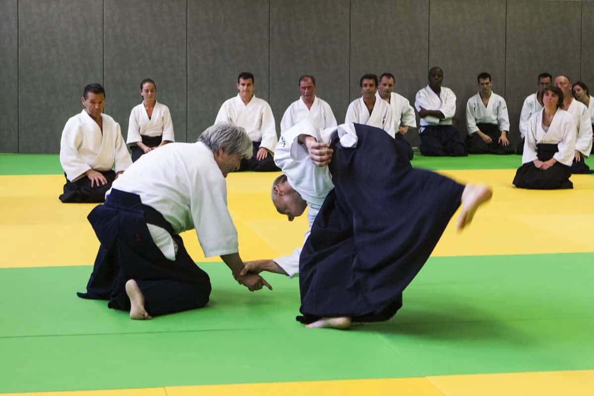 Stage-Aikido-Lyonnais-2012-01-Yamada-Sensei-17