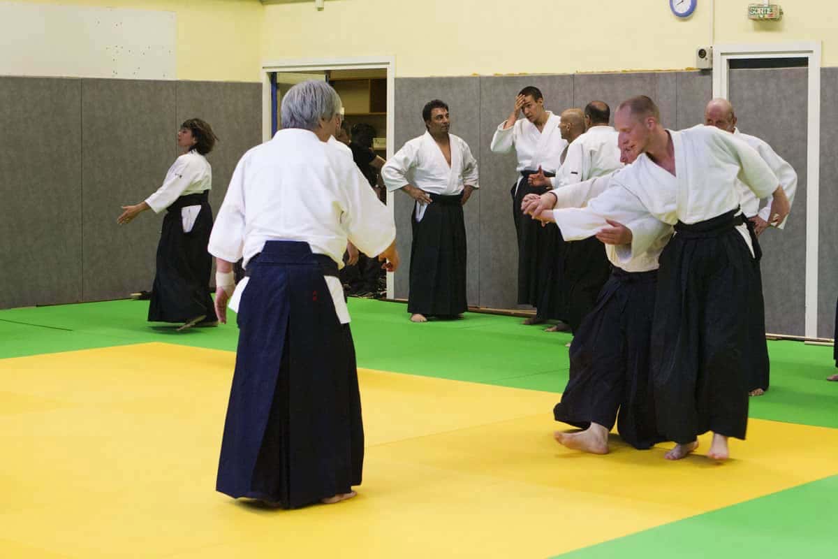 Stage-Aikido-Lyonnais-2012-01-Yamada-Sensei-26