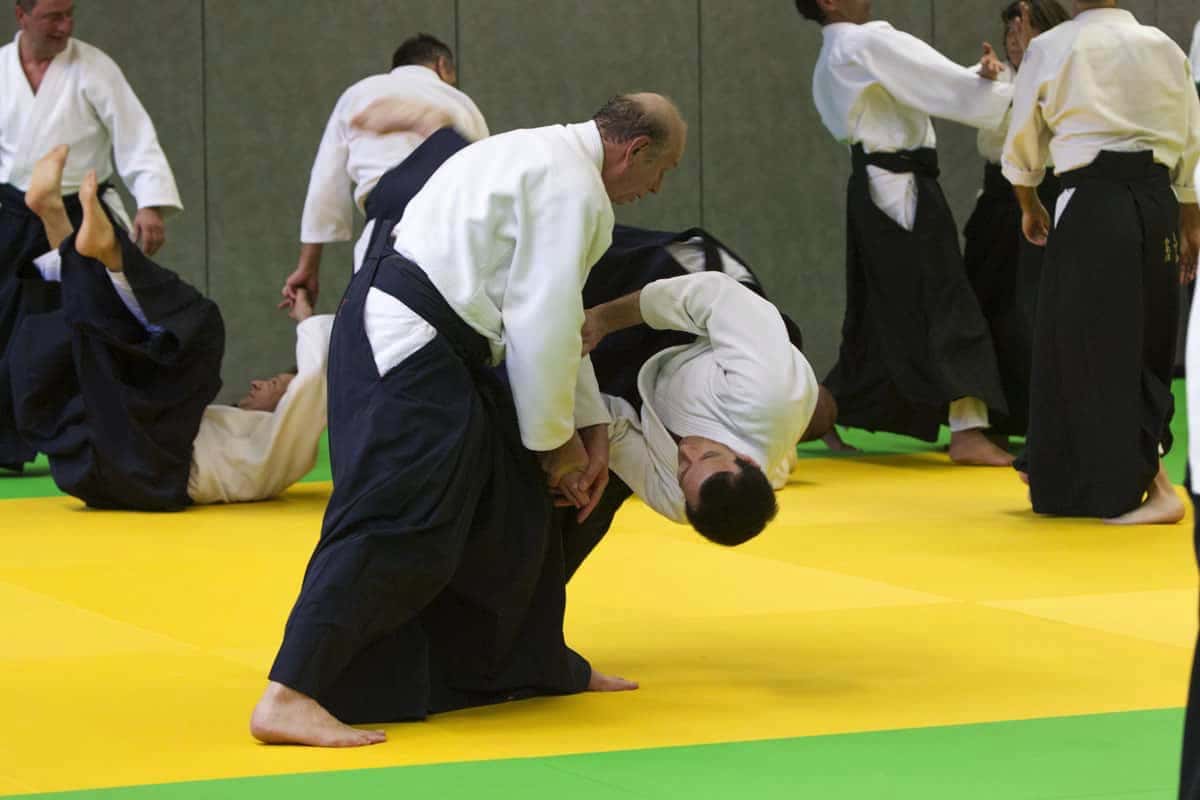 Stage-Aikido-Lyonnais-2012-01-Yamada-Sensei-37