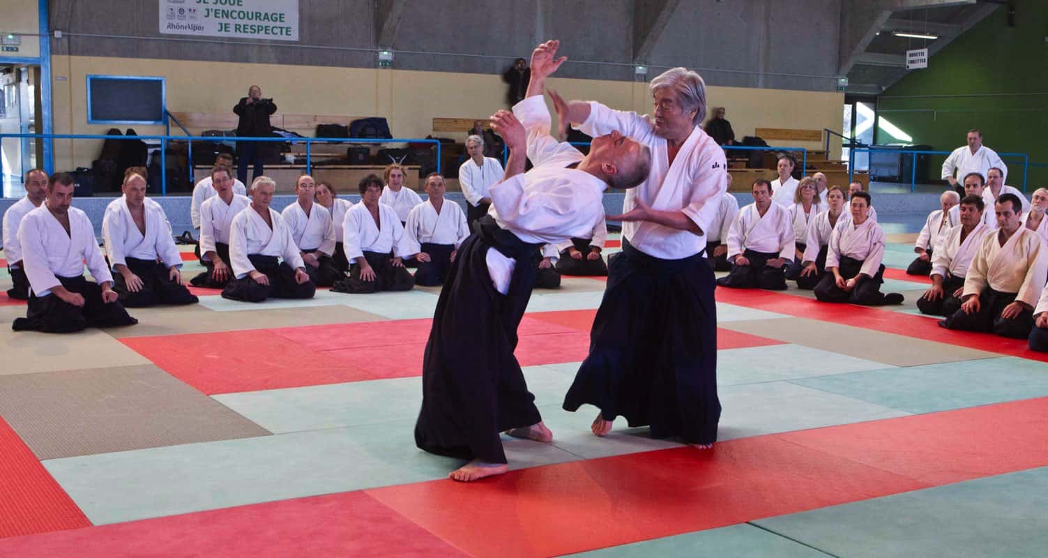 Stage-CEN-ACT-Aikido-Lyonnais-2012-02-Yamada-Sensei-04