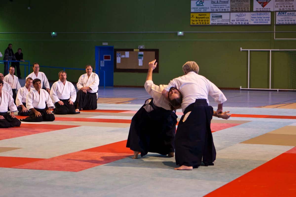 Stage-CEN-ACT-Aikido-Lyonnais-2012-02-Yamada-Sensei-16