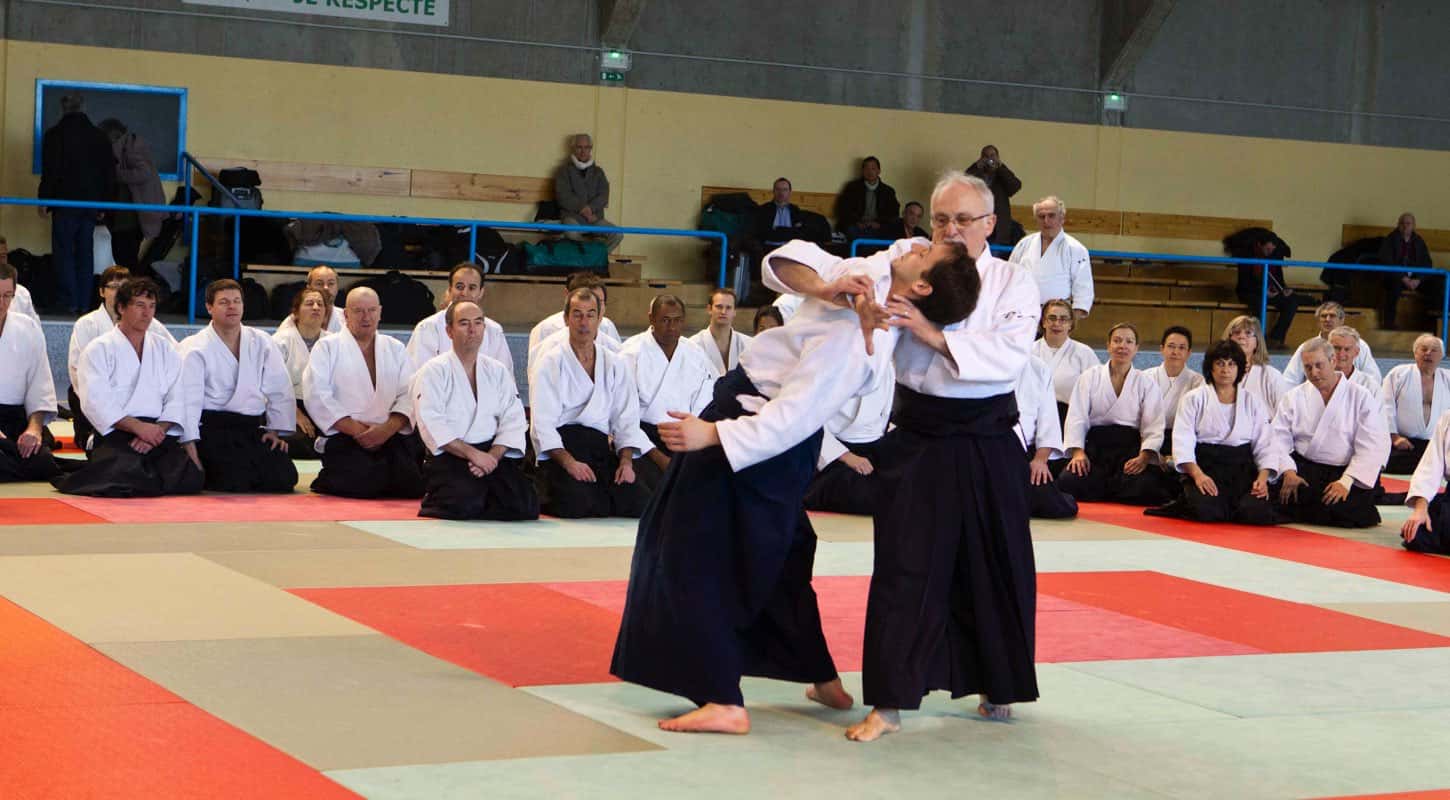 Stage-CEN-ACT-Aikido-Lyonnais-2012-02-Yamada-Sensei-20