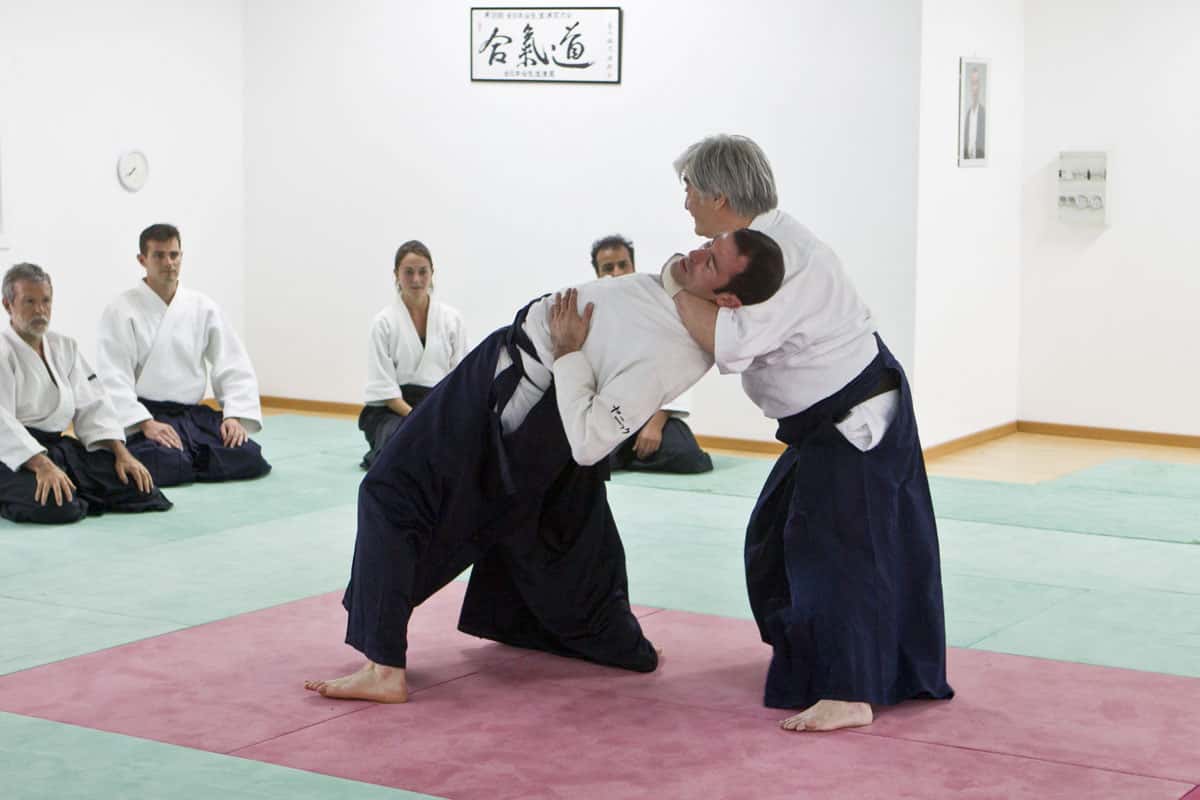 Stage-Aikido-Lyonnais-2012-06-Yamada-Sensei-11