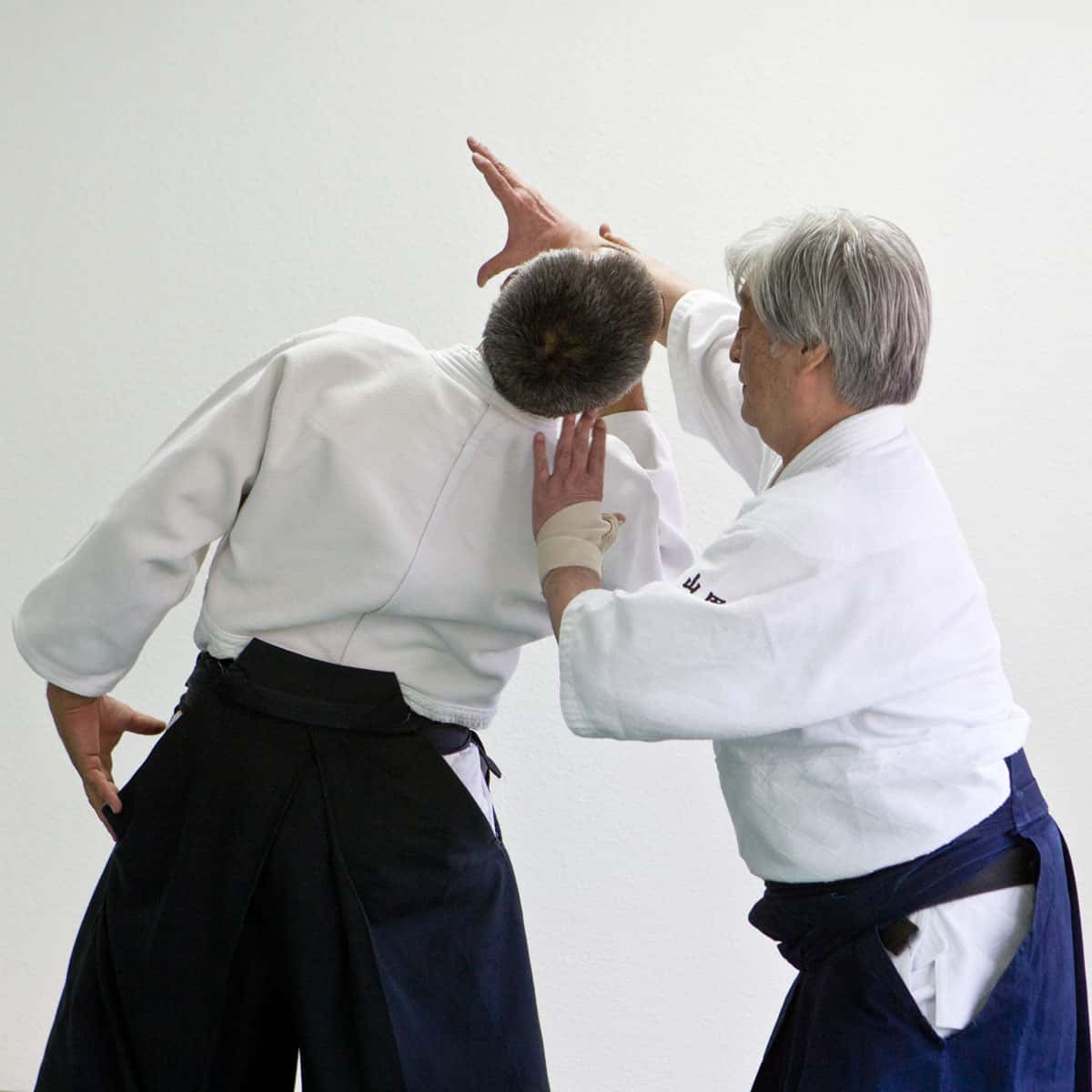Stage-Aikido-Lyonnais-2012-06-Yamada-Sensei-14