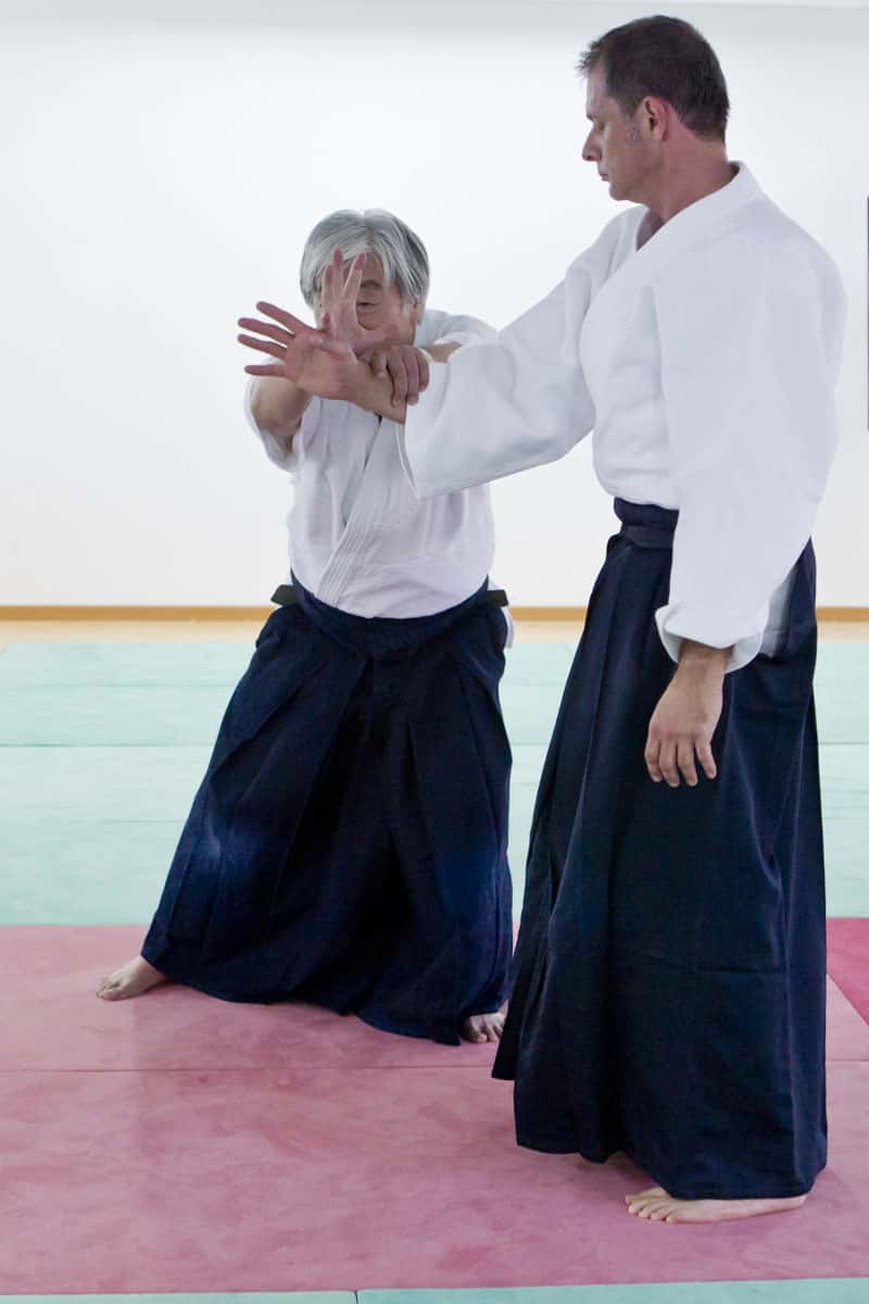 Stage-Aikido-Lyonnais-2012-06-Yamada-Sensei-26