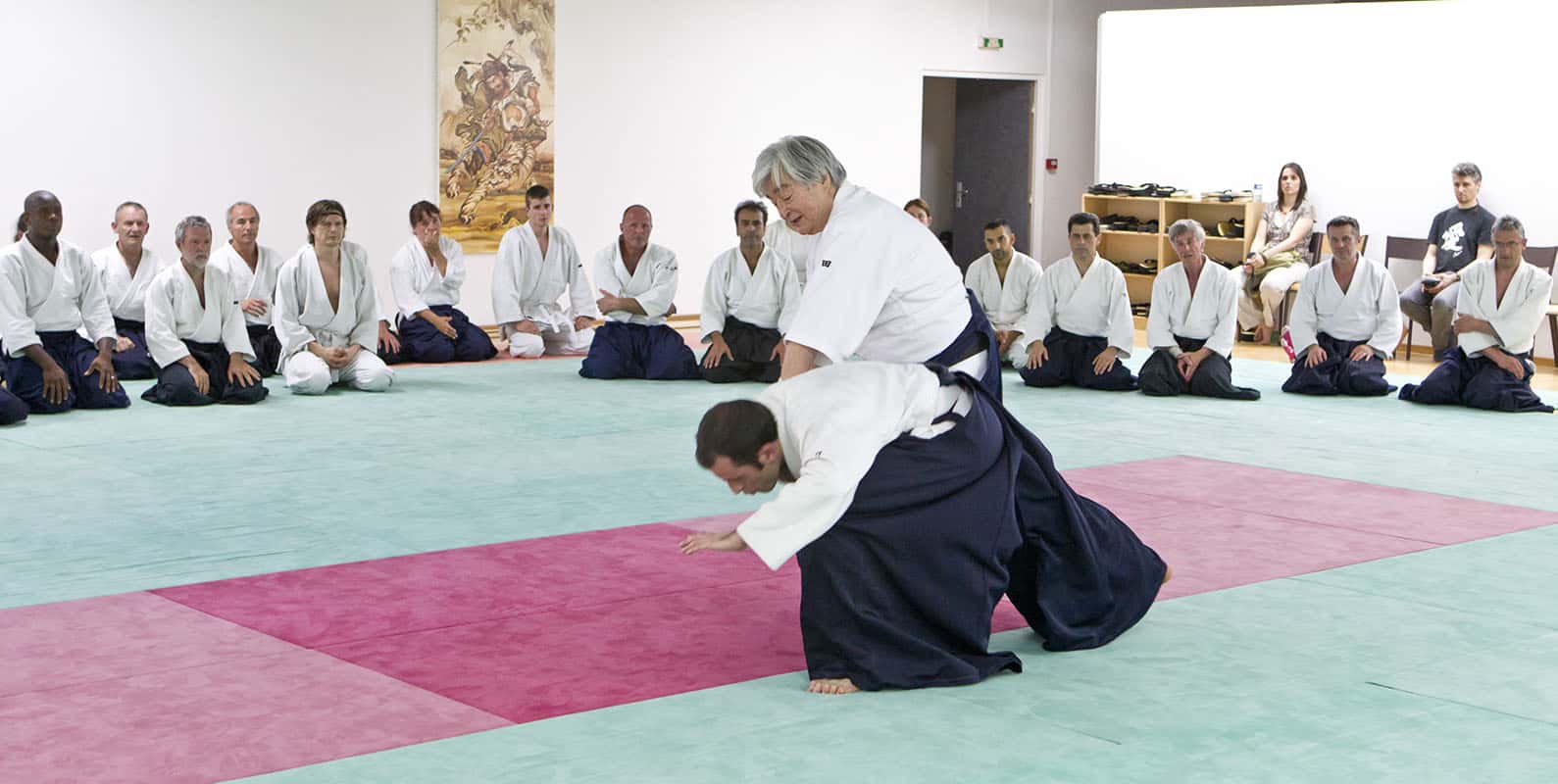 Stage-Aikido-Lyonnais-2012-06-Yamada-Sensei-30
