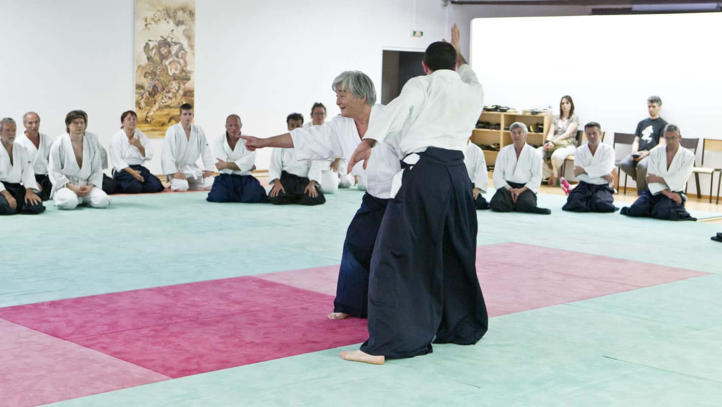 Stage-Aikido-Lyonnais-2012-06-Yamada-Sensei-31