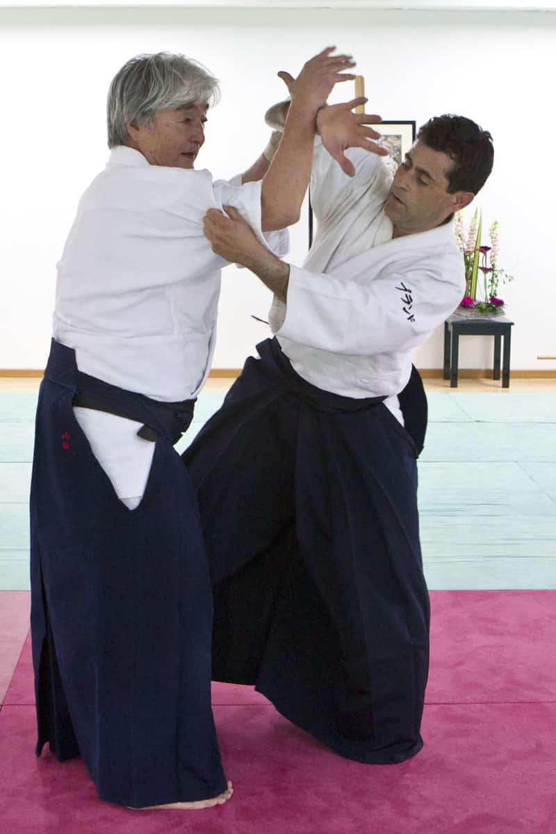 Stage-Aikido-Lyonnais-2012-06-Yamada-Sensei-43