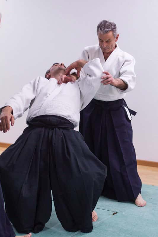 Stage-Aikido-Lyonnais-2013-01-Enseignants-14
