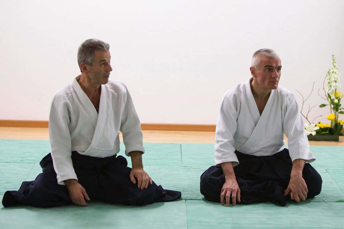 Stage-Aikido-Lyonnais-2013-01-Enseignants-47