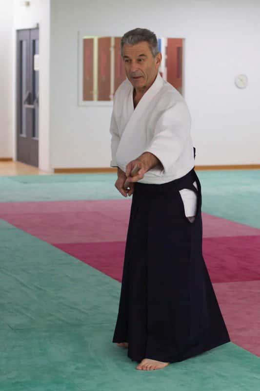 Stage-Aikido-Lyonnais-2013-01-Enseignants-66