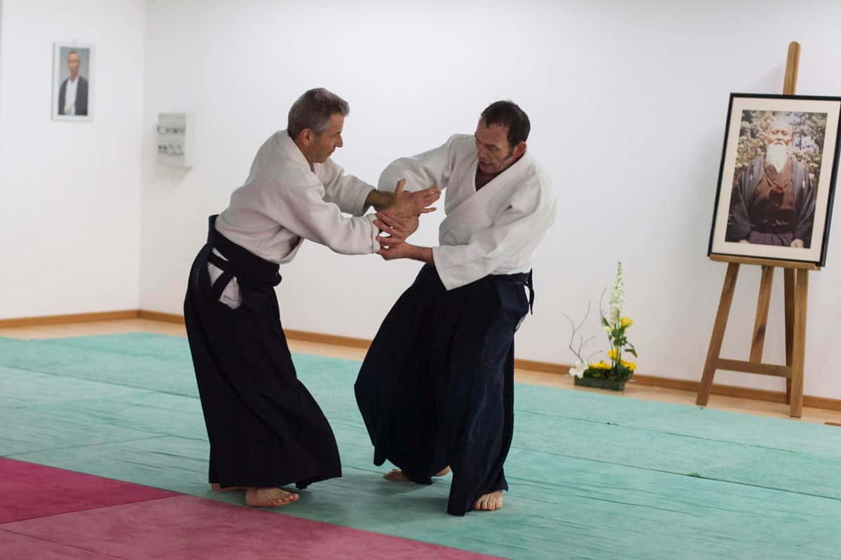 Stage-Aikido-Lyonnais-2013-01-Enseignants-73