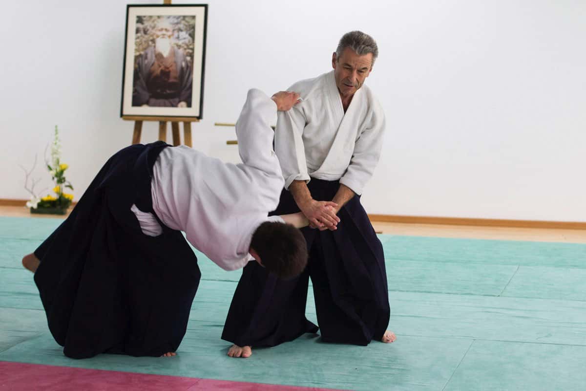 Stage-Aikido-Lyonnais-2013-01-Enseignants-81