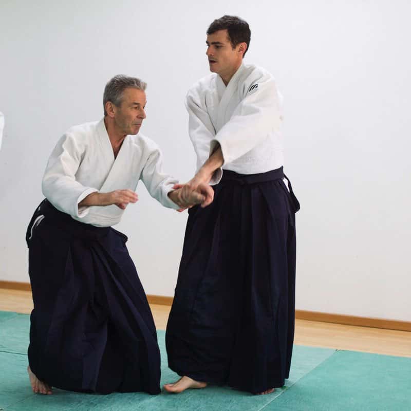 Stage-Aikido-Lyonnais-2013-01-Enseignants-82