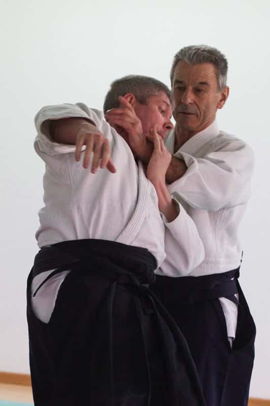 Stage-Aikido-Lyonnais-2013-01-Enseignants-86
