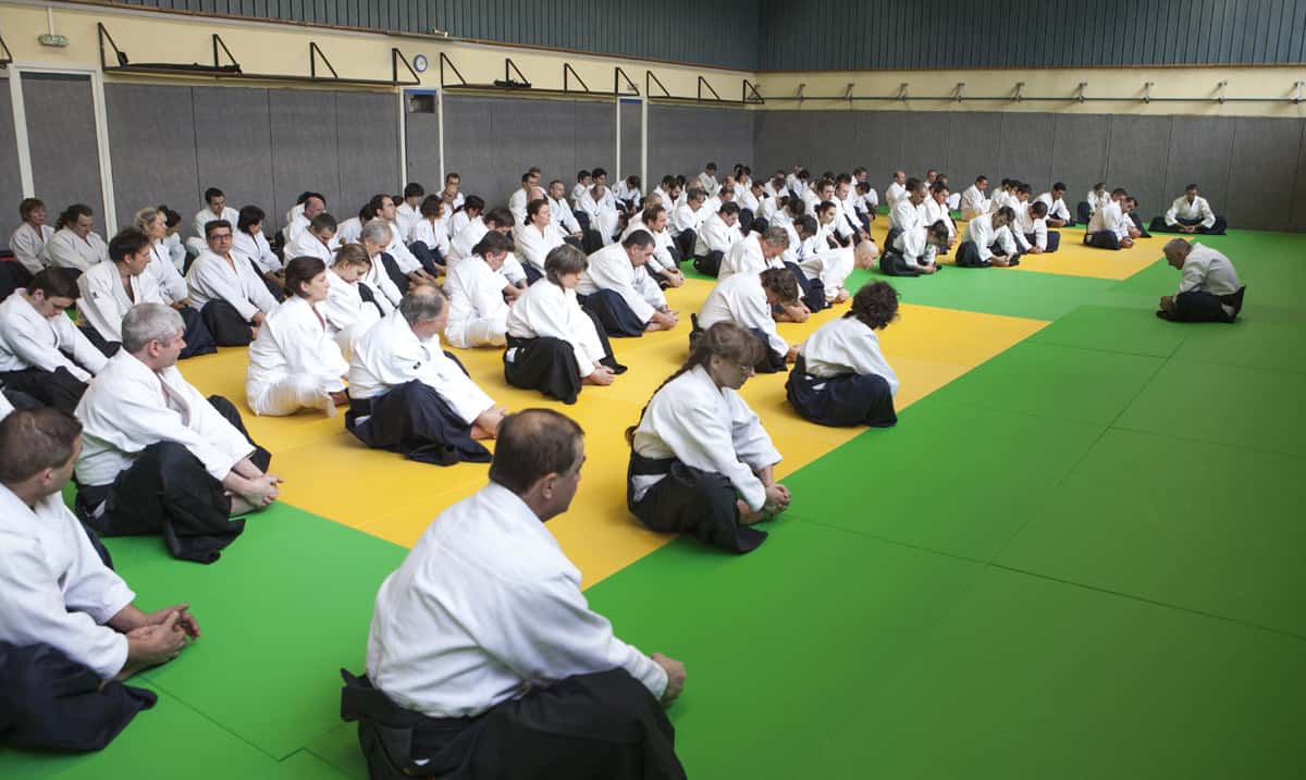 Stage-Aikido-Lyonnais-2013-01-Tous-niveaux-02