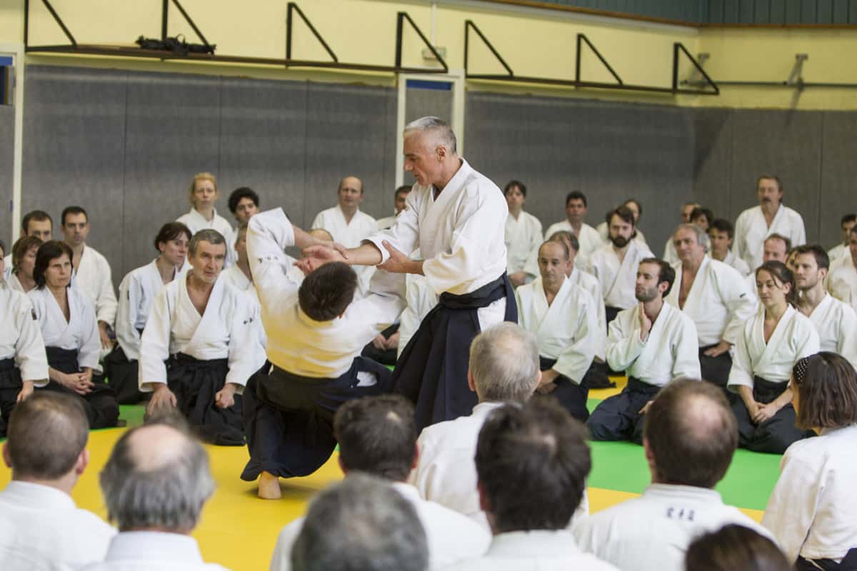 Stage-Aikido-Lyonnais-2013-01-Tous-niveaux-07