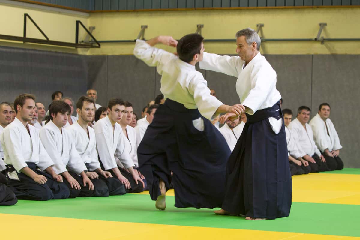 Stage-Aikido-Lyonnais-2013-01-Tous-niveaux-13