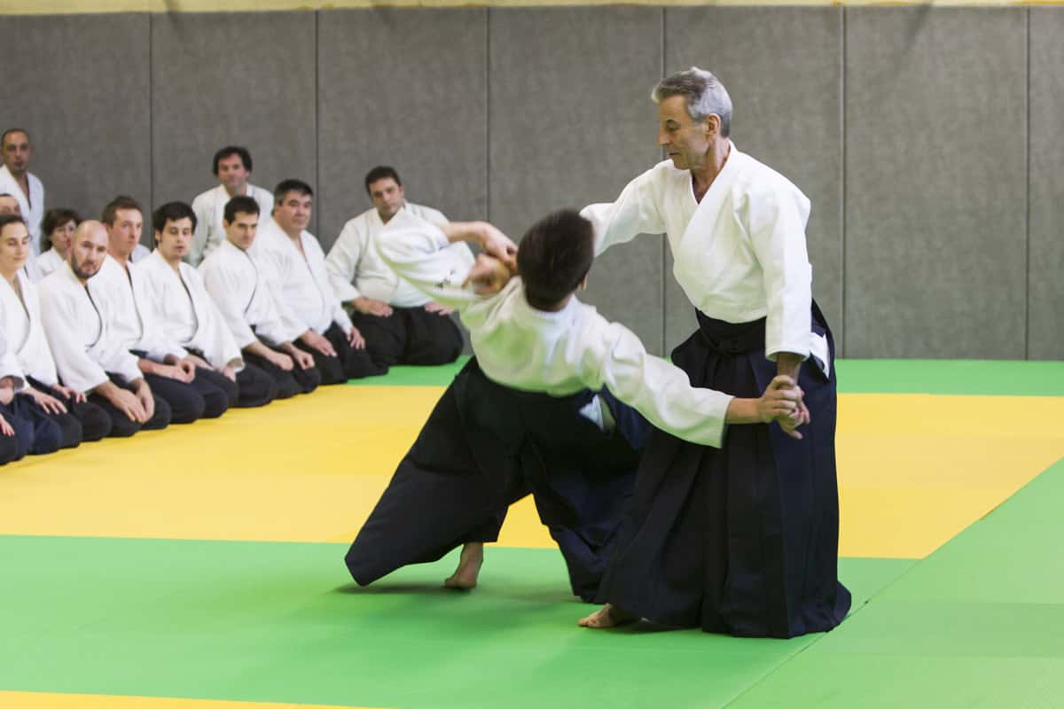 Stage-Aikido-Lyonnais-2013-01-Tous-niveaux-14