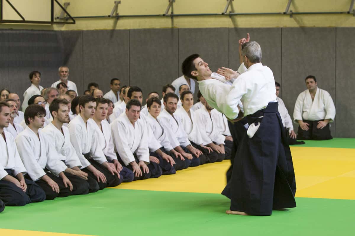 Stage-Aikido-Lyonnais-2013-01-Tous-niveaux-15